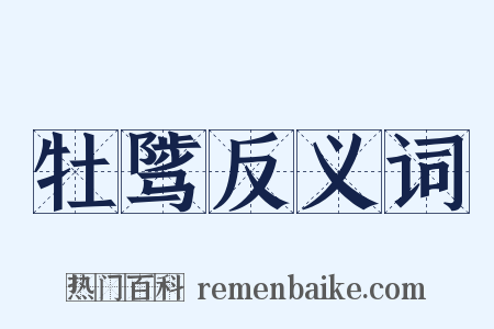 牡骘反义词是什么意思的图片